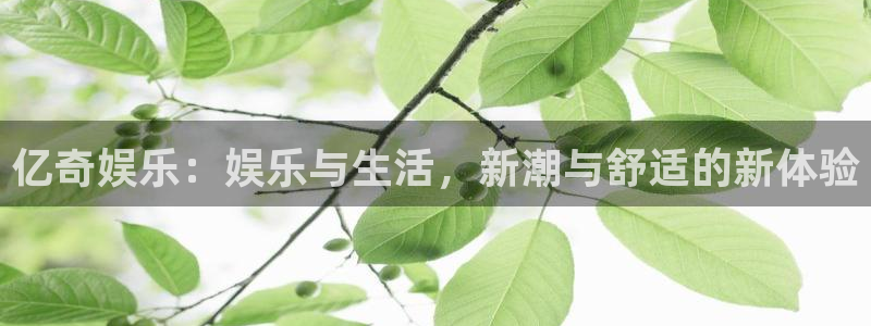 壹号app下载：亿奇娱乐：娱乐与生活，新潮与舒适的新体验