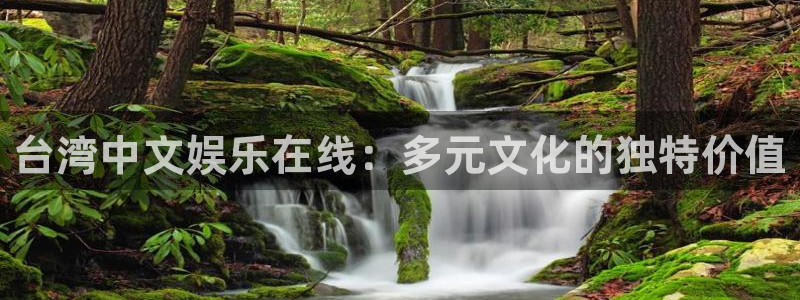 天富平台官网入口：台湾中文娱乐在线：多元文化的独特价值