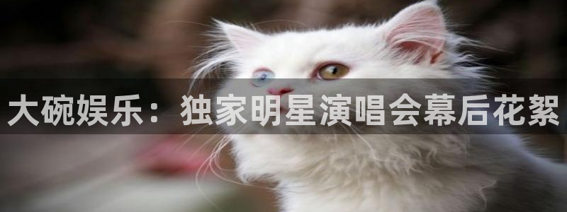 天富平台app下载安装：大碗娱乐：独家明星演唱会幕后花絮