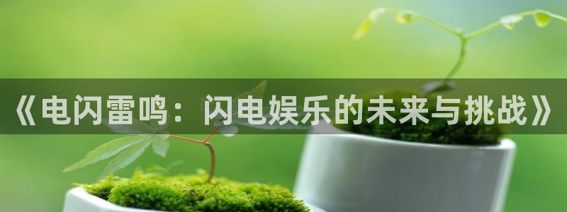天富平台vip麻将胡了：《电闪雷鸣：闪电娱乐的未来与挑战》