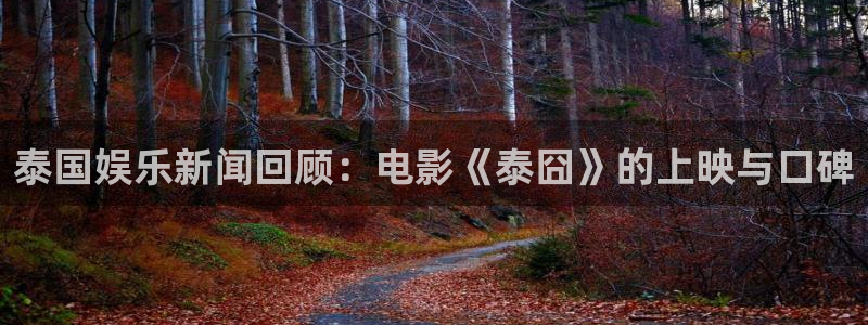 壹号大舞台28国际大舞台：泰国娱乐新闻回顾：电影《泰囧》的上映与口碑