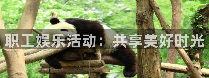 天富平台路线1：职工娱乐活动：共享美好时光