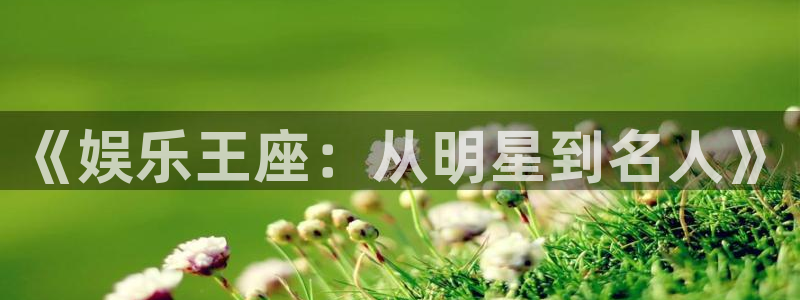 天富平台手机版下载：《娱乐王座：从明星到名人》