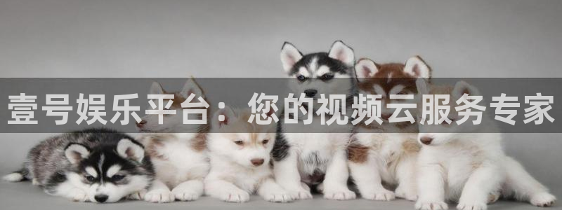 天富平台免费注册：壹号娱乐平台：您的视频云服务专家