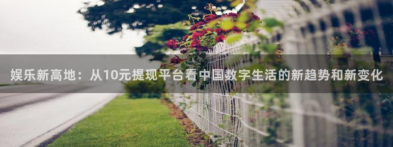 伟德国际集团 壹号(one game)：娱乐新高地：从10元提现平台看中国数字生活的新趋势和新变化