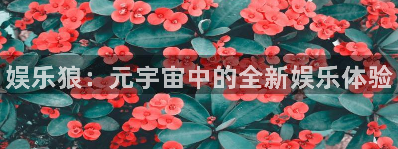 下载天富平台：娱乐狼：元宇宙中的全新娱乐体验