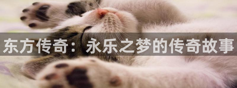 天富平台平台官网版下载：东方传奇：永乐之梦的传奇故事