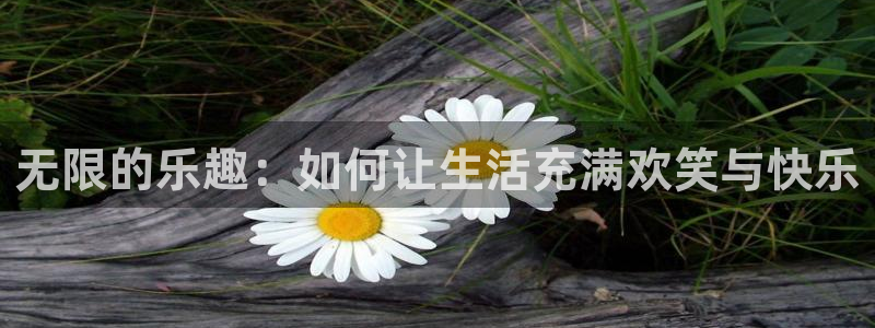 壹号下载官网入口：无限的乐趣：如何让生活充满欢笑与快乐