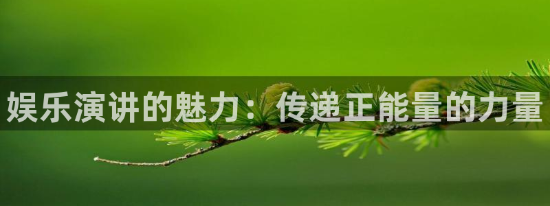 天富平台.com：娱乐演讲的魅力：传递正能量的力量