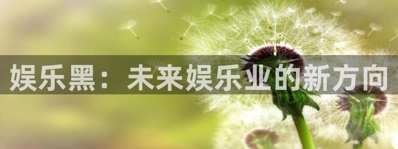 天富平台是大平台吗：娱乐黑：未来娱乐业的新方向