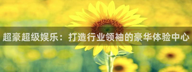壹号平台下载安装官网：超豪超级娱乐：打造行业领袖的豪华体验中心